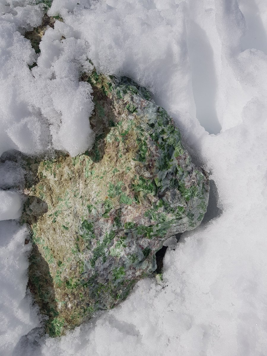 Anna Fleming tweet media