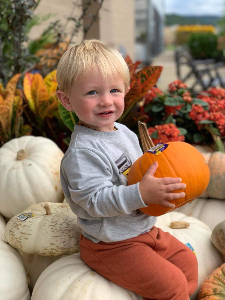 How cute is my son, modeling the pumpkins at <a href="/Lowes/">Lowe's</a>