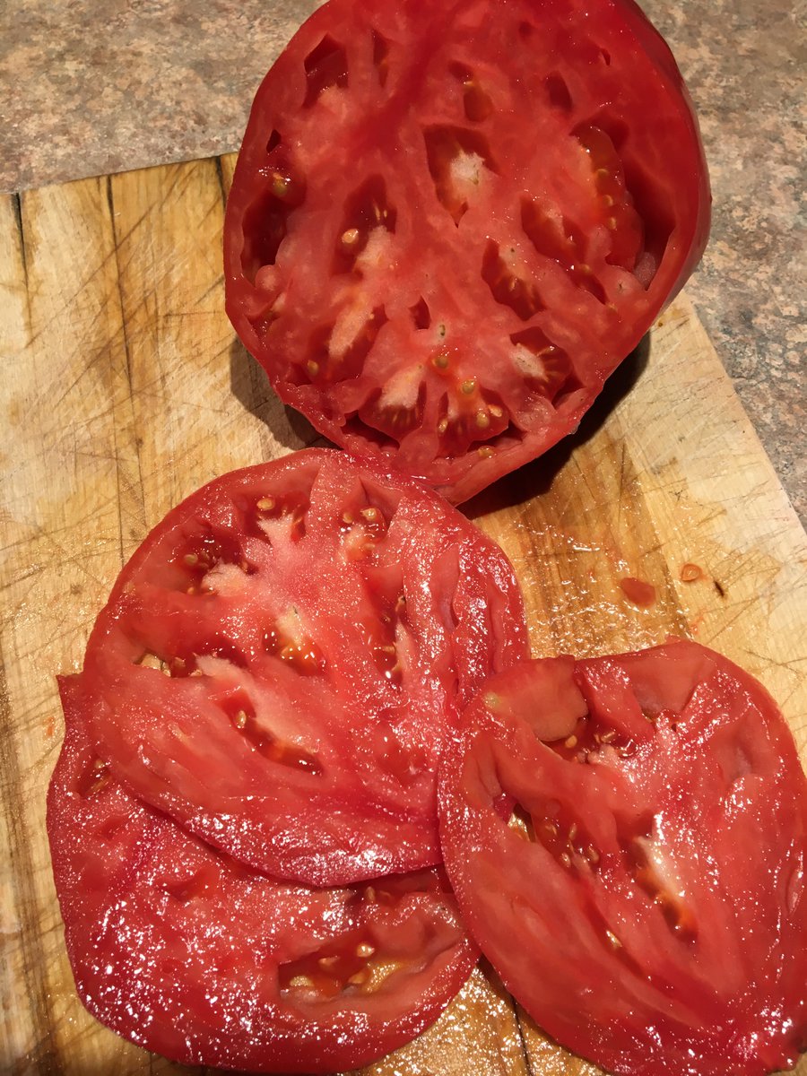 A 1+lb Kosovo. Meaty, rich and on the sweet side of balanced. No tang to be found in a what has been a tangy poor flavour year for most varieties, due to cold and rain. Not overly productive in terms of numbers of tomatoes, but each tomato was enormous. 
#NotYourRegularRedTomato