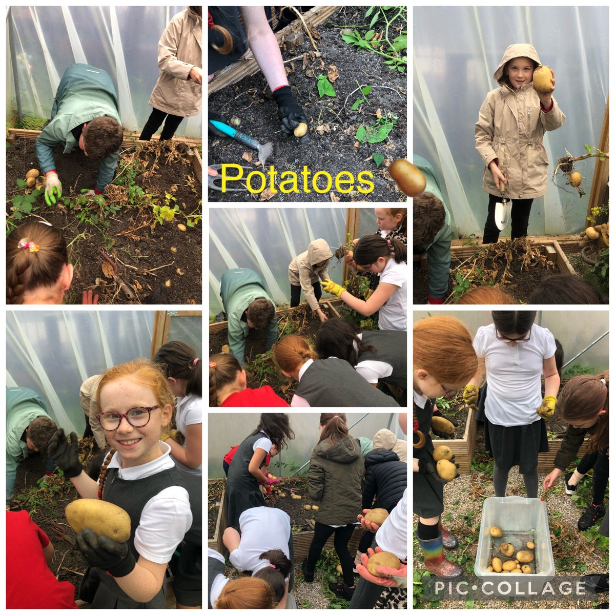 Lia Harris tweet media