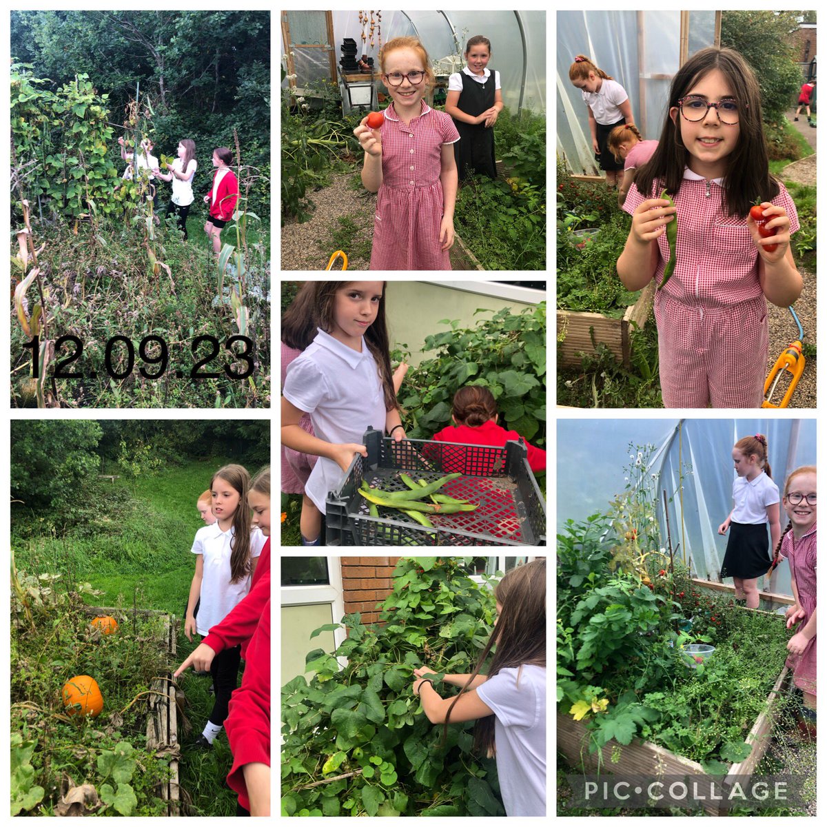 Lia Harris tweet media