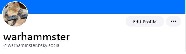 warhammster.sieloasul y esas cosas tweet media