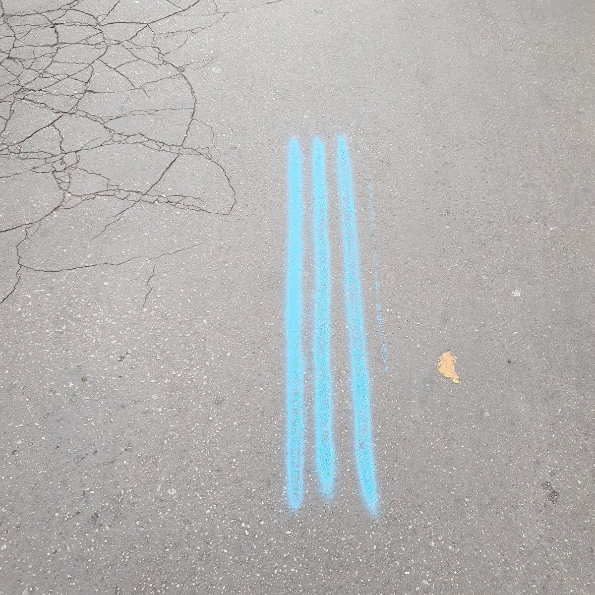 #berlinmarathon