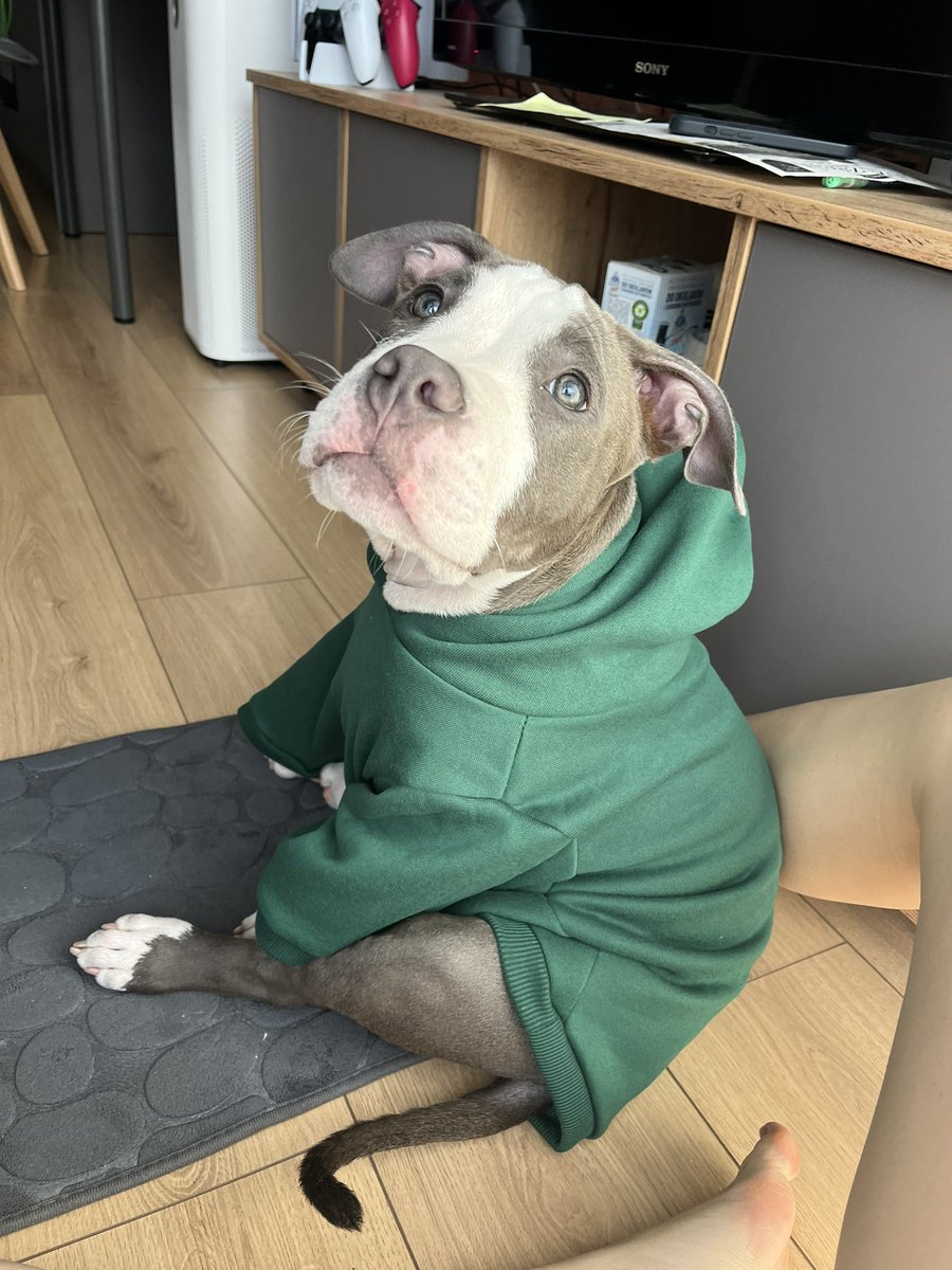 maszuulka's tweet photo. заказали худи💚 https://t.co/Gp5baSTymr