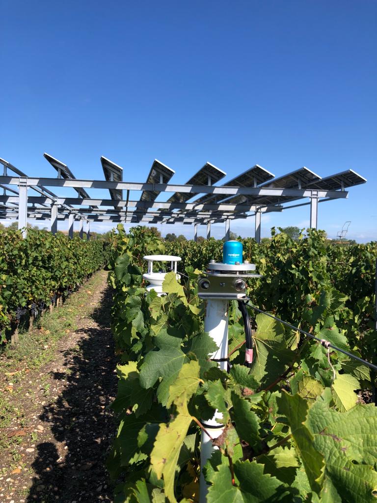 🚜🍇 Très investie au <a href="/senat/">Sénat</a> sur la loi favorisant le développement de l’agrivoltaïsme, je suis ravie d’inaugurer #Vitisolar au ♥️de l’<a href="/isvv_bordeaux/">ISVV - Institut des Sciences de la Vigne et du Vin</a>, le démonstrateur @EDF_RE &amp; <a href="/INRAE_NA_BDX/">INRAE Nouvelle-Aquitaine Bordeaux</a> innovant qui va évaluer ce système de protection de la vigne face aux aléas climatiques.