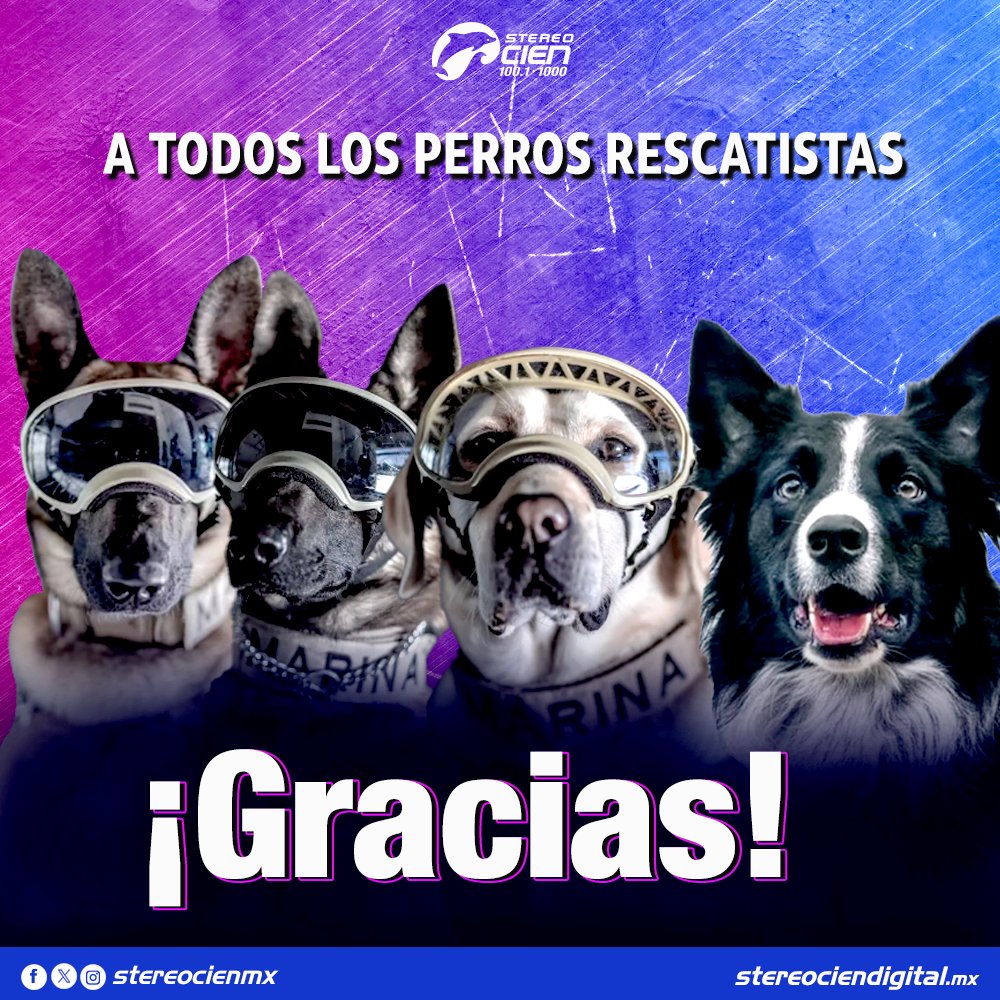 stereocienmx's tweet photo. 💖 ¡Los binomios caninos de la Ciudad de México son unos verdaderos héroes! Hoy les agradecemos a ellos por su servicio y dedicación. 🐾

#BinomiosCaninosCDMX #PerrosHéroes #PerrosDeBúsqueda #PerrosDetectores #PerrosTerapéuticos #19s https://t.co/swTNy2zc61