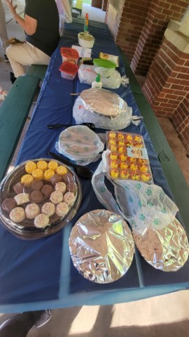 REEPworld's tweet photo. REEP staff and volunteers gathered for our annual picnic this weekend! It was a lovely evening in Bluemont Park! @arlparksrec https://t.co/BJkvIKNdKH