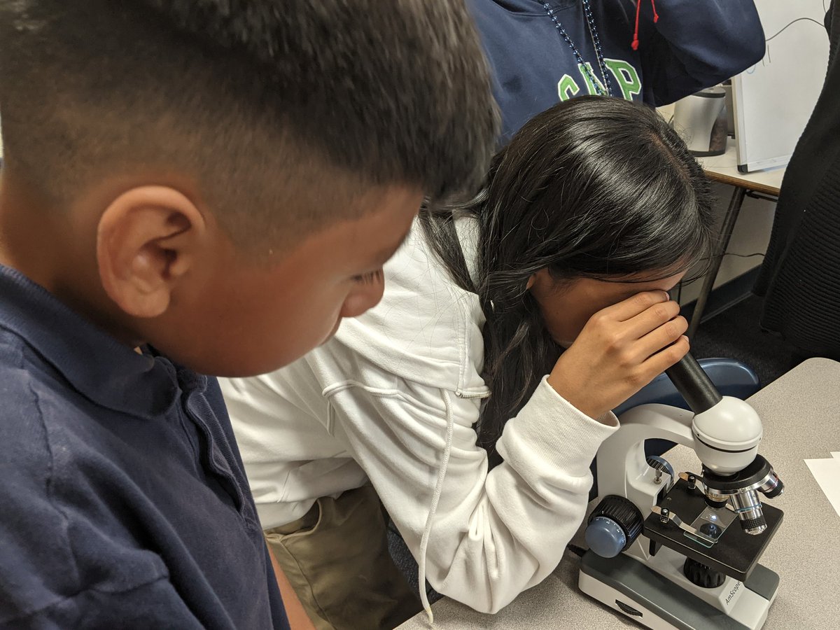 Stacy Hunter tweet media