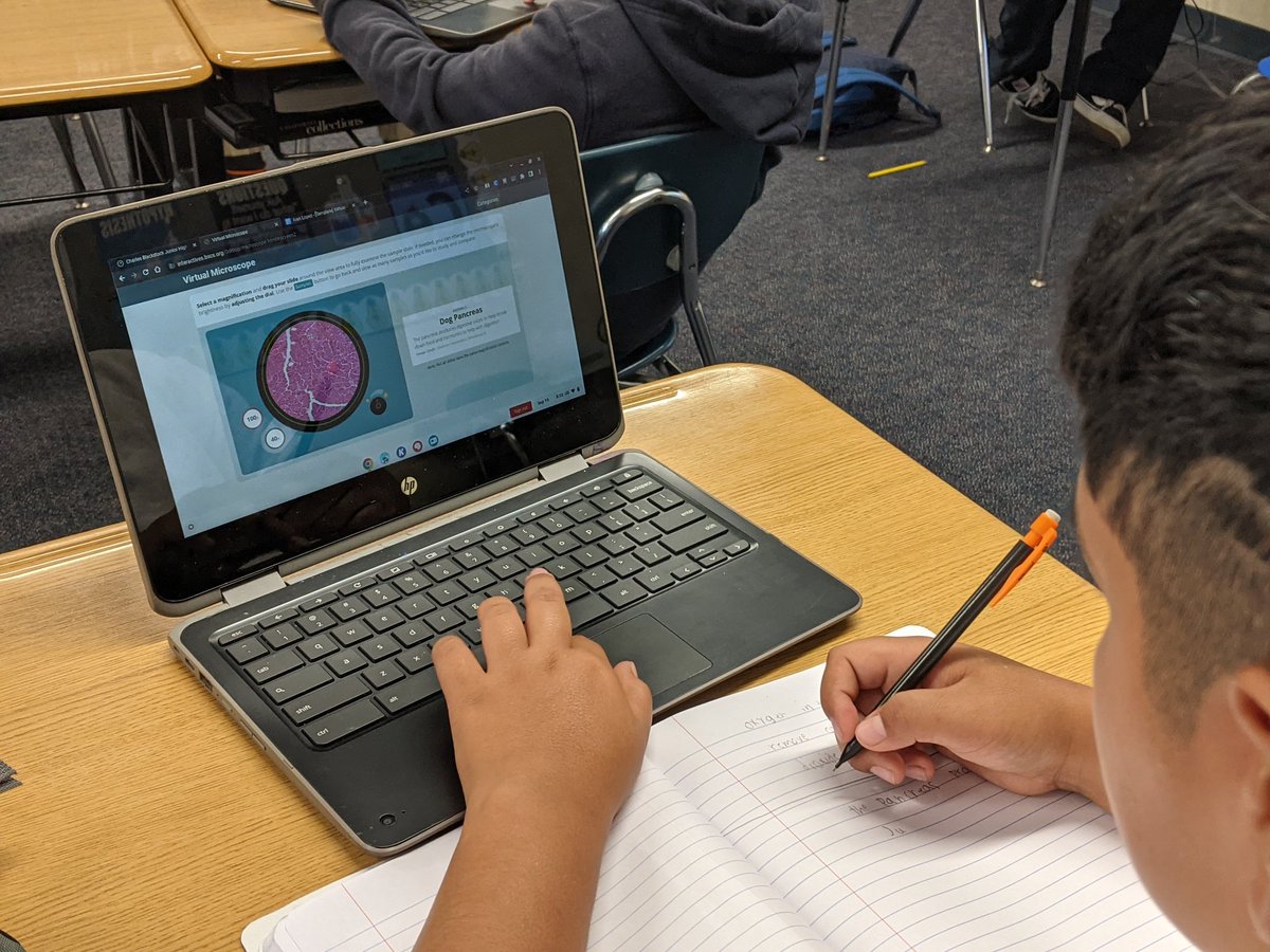 Stacy Hunter tweet media