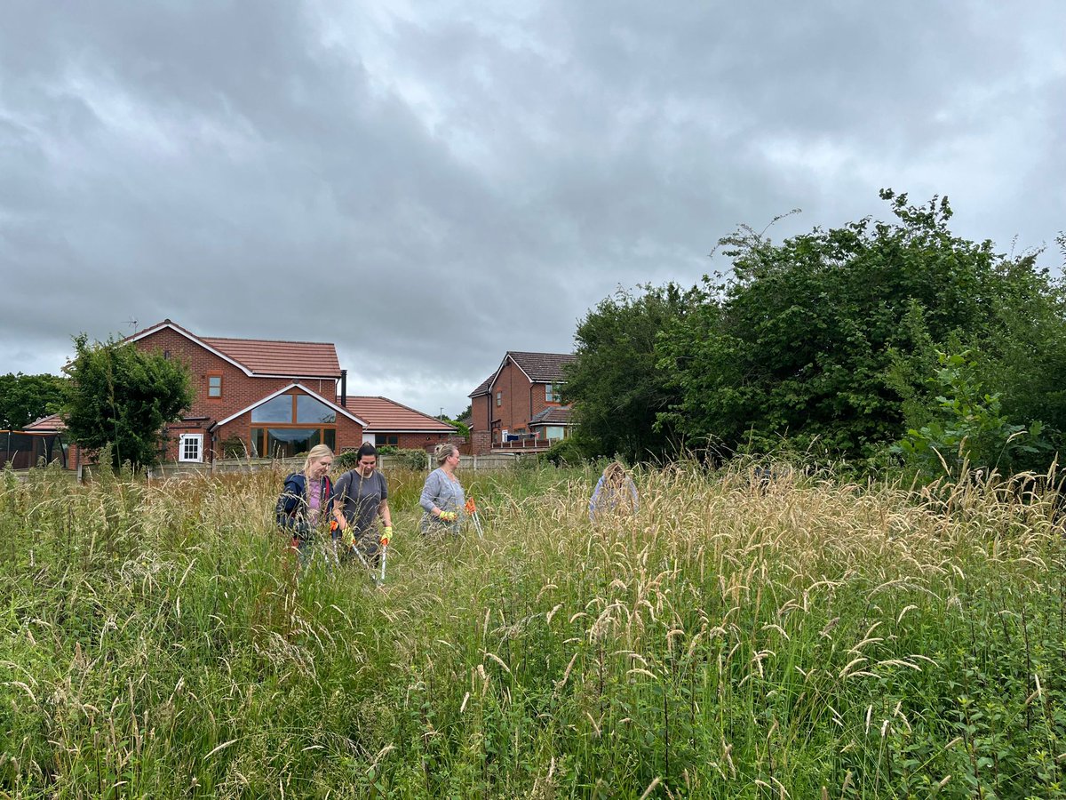 #Glascoed & #Trefnant, our nature reserves in #Denbighshire are situated between St. Asaph and Denbigh. We run friendly fun outdoor #Volunteer sessions at these reserves every Weds morning from 10 am. Get in touch 01978 757524 or email info@wild-ground.org.uk