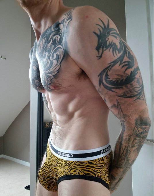 Getting bigger🦊💪 https://t.co/ngvdRHPq6X