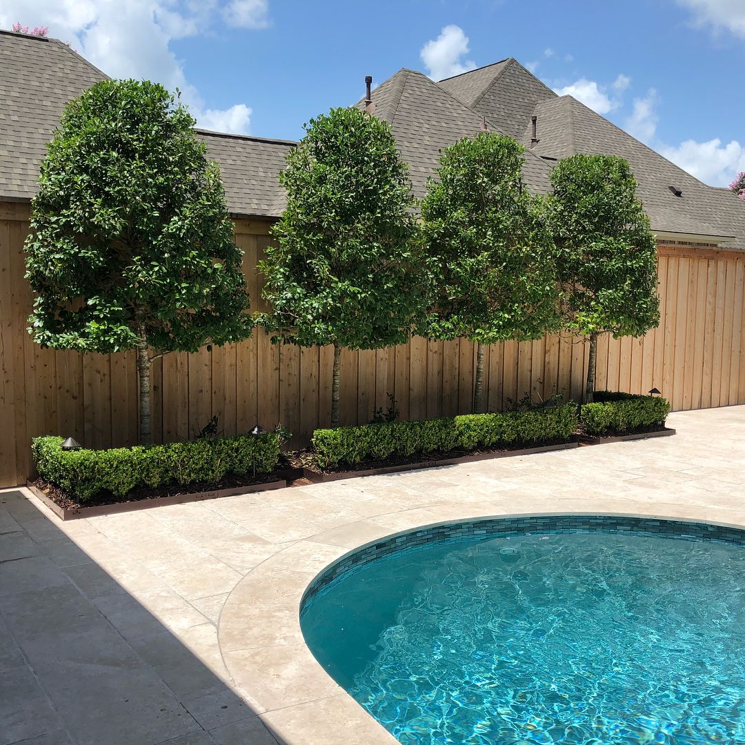 Our team has the skill and experience to handle any size fencing job, and we provide quality work that will last for years. Call us today for a quote at (225) 777-6716 and learn more about our fence repair services!

#FencingRepair bit.ly/3rKnSOR