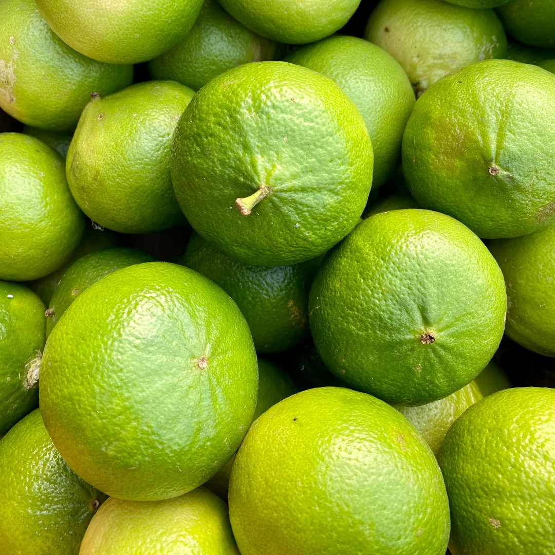 rushtonsgrocer's tweet photo. Bergamot oranges are a deliciously fragrant citrus fruit!
#Rushtons #thechefsgreengrocer #wholesale #catering #hospitality #restaurant #chef #londonsupplier #seasonalproduce #NCGM #bergamots https://t.co/RdJC1fmlQQ