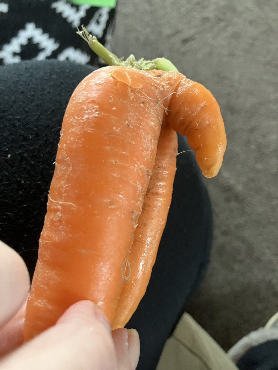 NiceJessica's tweet photo. @AldiUK oh my! 😳 (found in your wonky carrots lol) https://t.co/Ri4ZlxzzwP