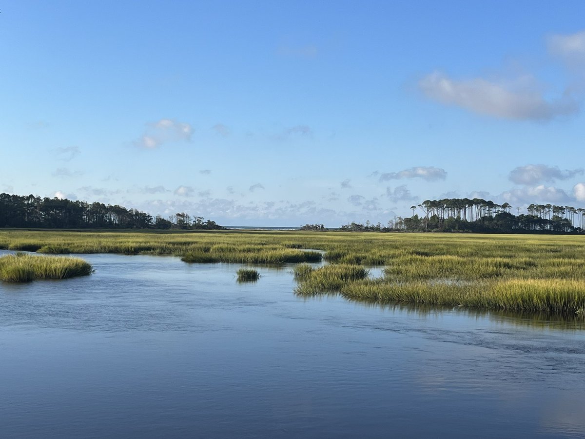 CCUScienceDean's tweet photo. This never gets old! Spent the morning showing some potential partners Coastal’s land at Waties. What a gem Waties is for SC and for @CCUChanticleers. This land is to always be protected and used only for research, teaching, and conservation awareness @coastalstem. Awesome!! https://t.co/MPeVKufcrx