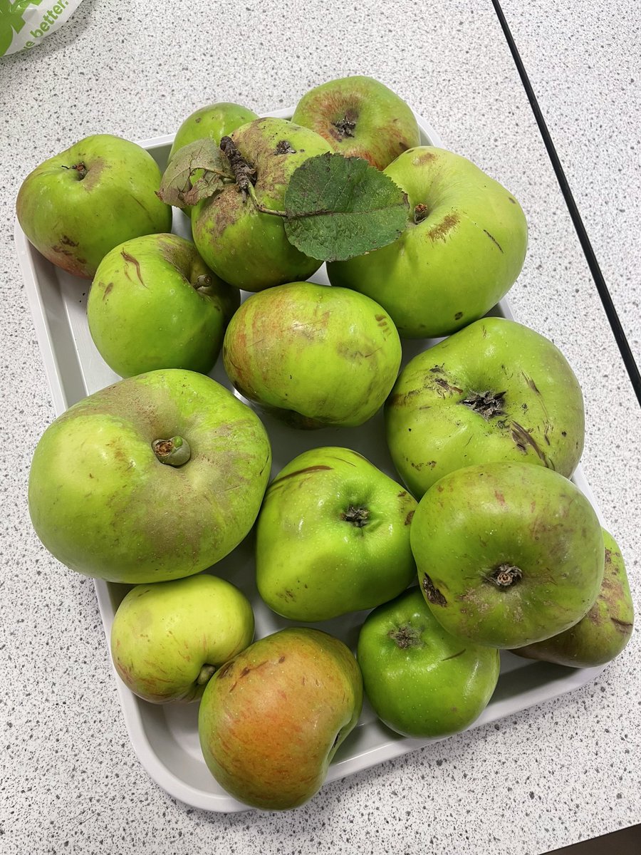 HolyRoodFTT's tweet photo. Apple crumbles created by our Senior Bakers today using seasonal apples π everyone enjoyed this sweet treat whilst working through our learner conversations! #recognisingprogress #planningnextsteps #seasonality #πππ§‘β€οΈ https://t.co/03tSR7itMN