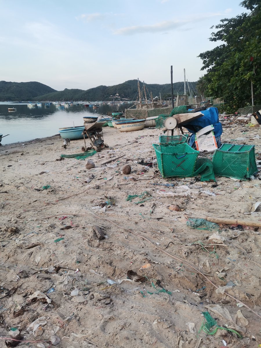 La vo tinh bo roi canh la,Nguoi vo tinh bo lo to duyen.