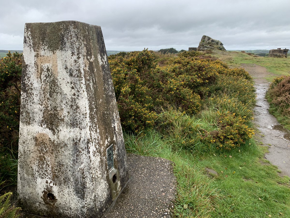 DelepChimney's tweet photo. A quick #walk at the Fabrick on a windy wet morning, #gorse, #beech #tree, browning #heather and #Bracken, plus a couple of solitary #harebells #NaturePhotography https://t.co/GdgyxP7FXP