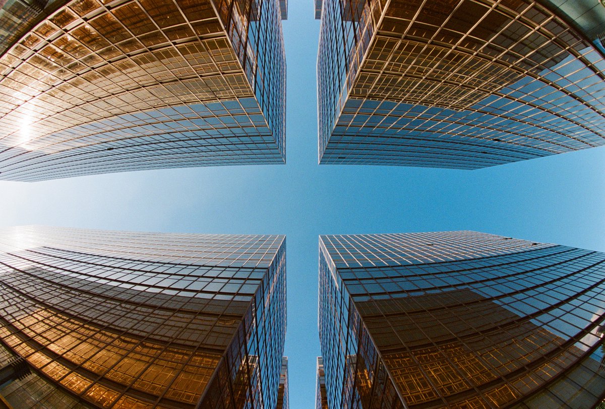 Fishmonkeycow tweet media