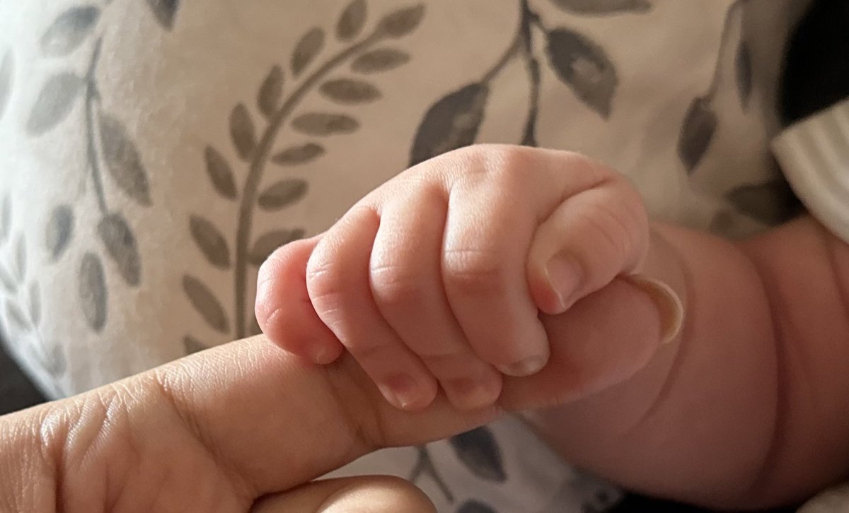 Peyton Brooks tweet media