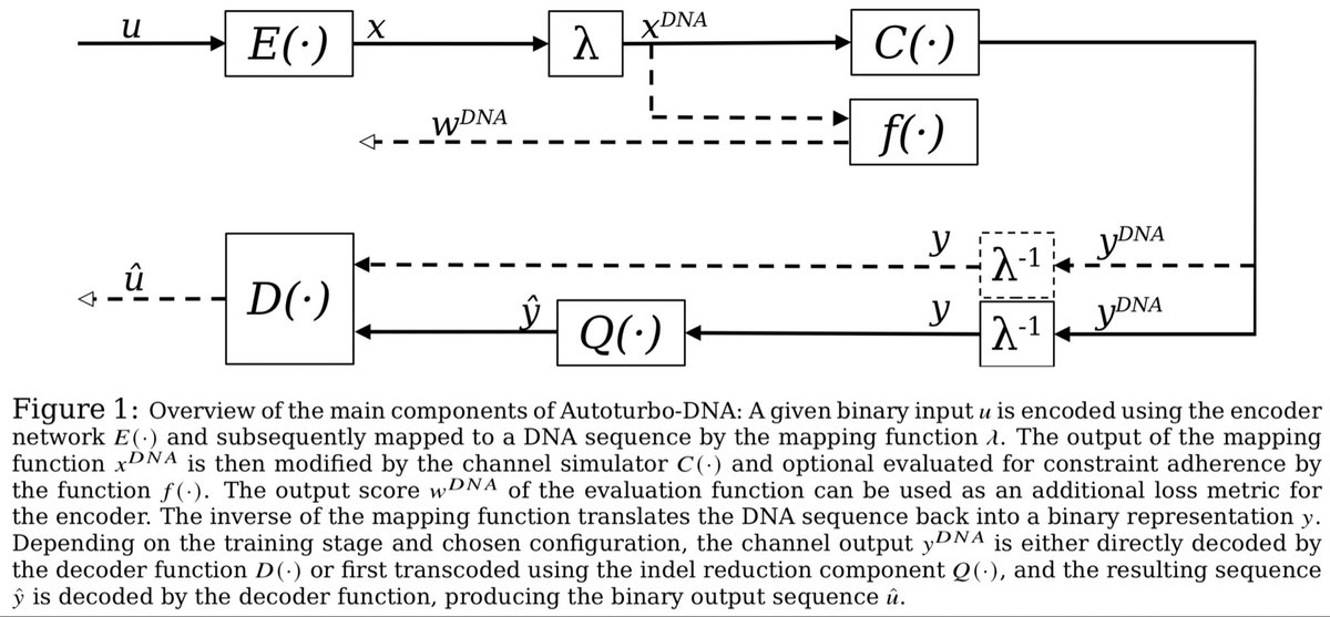 Autoturbo-DNA: Turbo-Autoencoders for the DNA data storage channel biorxiv.org/content/10.110…