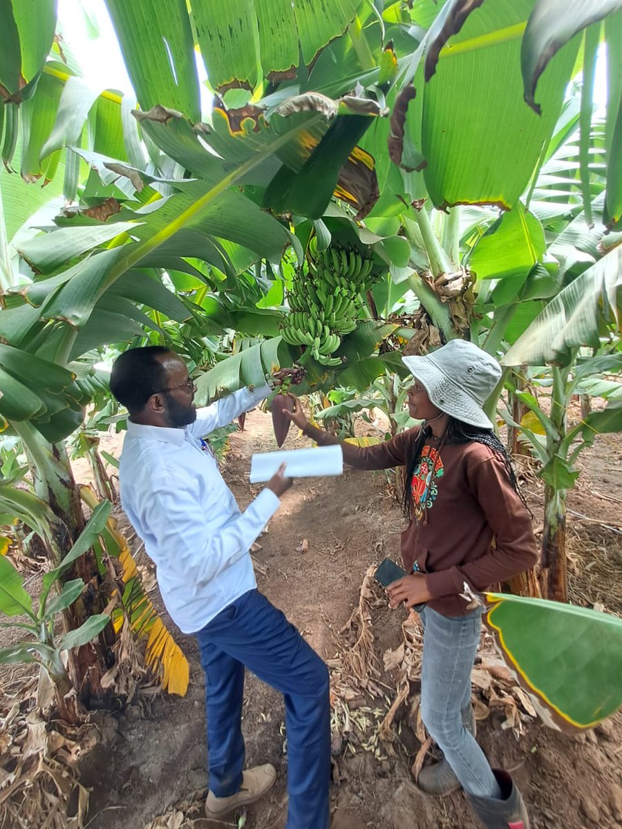 Kings Agricultural Services tweet media