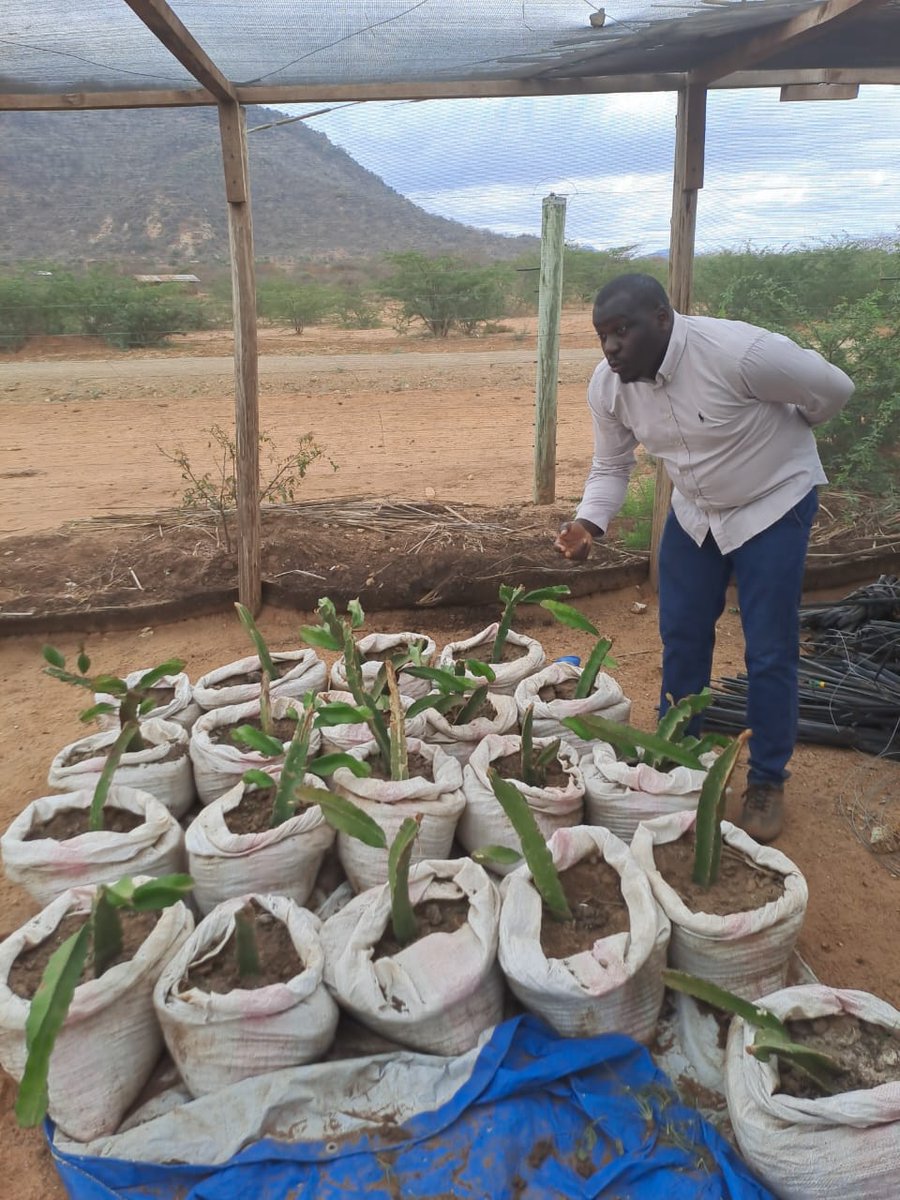 Kings Agricultural Services tweet media