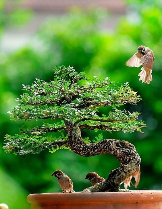 Recuerda..⚘️💕
Si las personas son sabias, entonces no pueden ser explotadas. Si son inteligentes no pueden ser manipuladas. Si son conscientes no pueden ser forzadas a vivir mecánicamente y a ser tratados como robots o ganado
#BuenosDias 😘☘️⚘️❤️