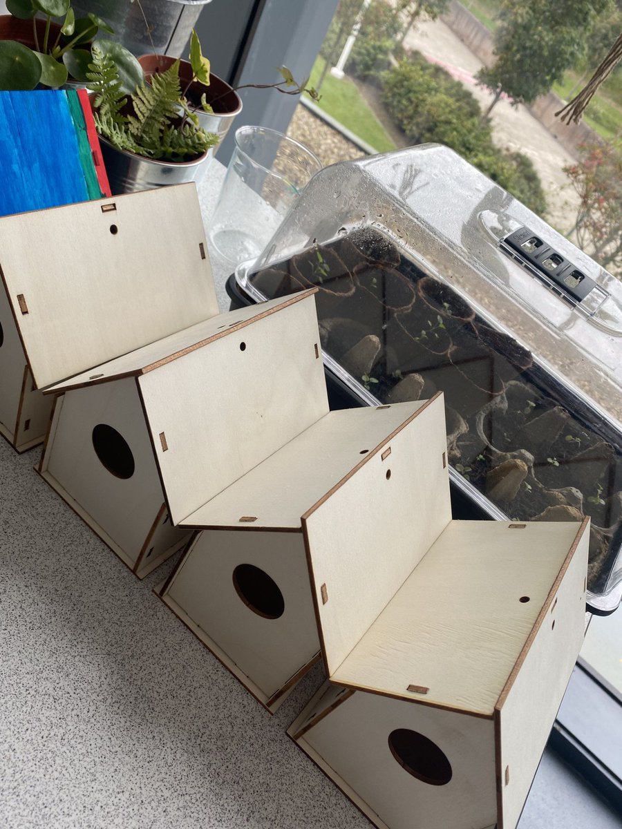 HighfieldLA's tweet photo. Our clubs are open this week and our #EcoStars have been making and painting bird houses and bug hotels for our academy garden. Why not join us on Wednesday's after school. #LeadingMyCommunity #Enrichment #BeEngaged #ShineLikeAStar https://t.co/HFowzBTIQc