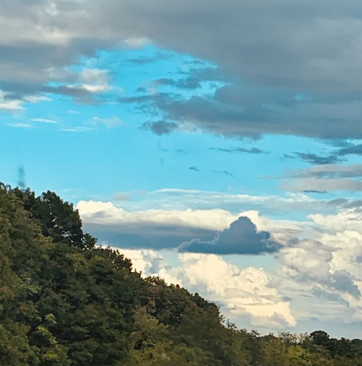 @FifeReports pointed out that this cloud was shaped like Virginia. I see it! Do you?☁️
📸Stephanie Hull