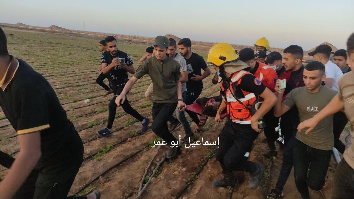 Palestinian Eve Network+🇵🇸 tweet media