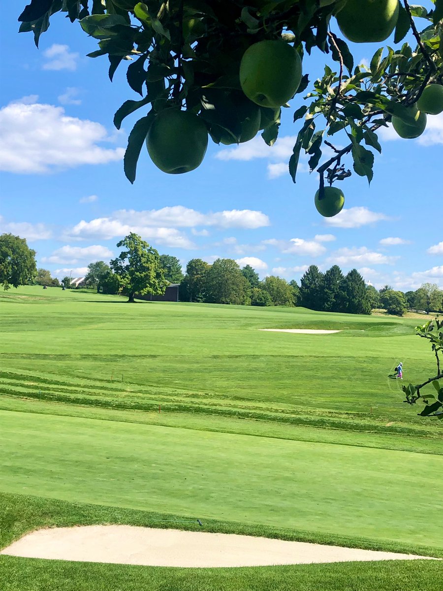 paquette_jim's tweet photo. How do you like them apples? #bcc #ThirdHole https://t.co/8Op8McAhBz