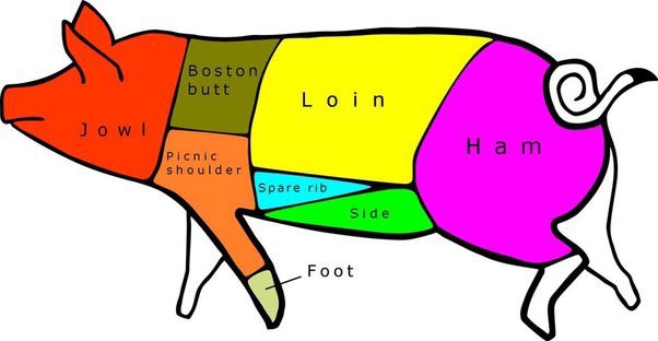 Eric__Shunn's tweet image. ham is pig ass