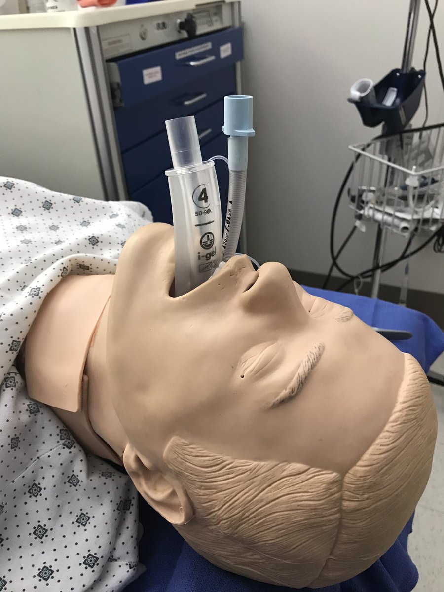 When teaching Newer Residents in the Simulator, what techniques do you teach: D.L, V.L, both? And if you teach D.L, which blade do you emphasize if any.