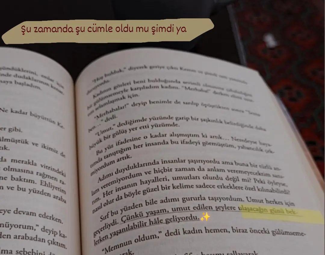 Bir gün önce umutlarımı kaybettiğimi söylerken şimdi bu cümle;
 "Çünkü yaşam, umut edilen şeylere ulaşacağın günü beklerken yaşanabilir hâle geliyor."