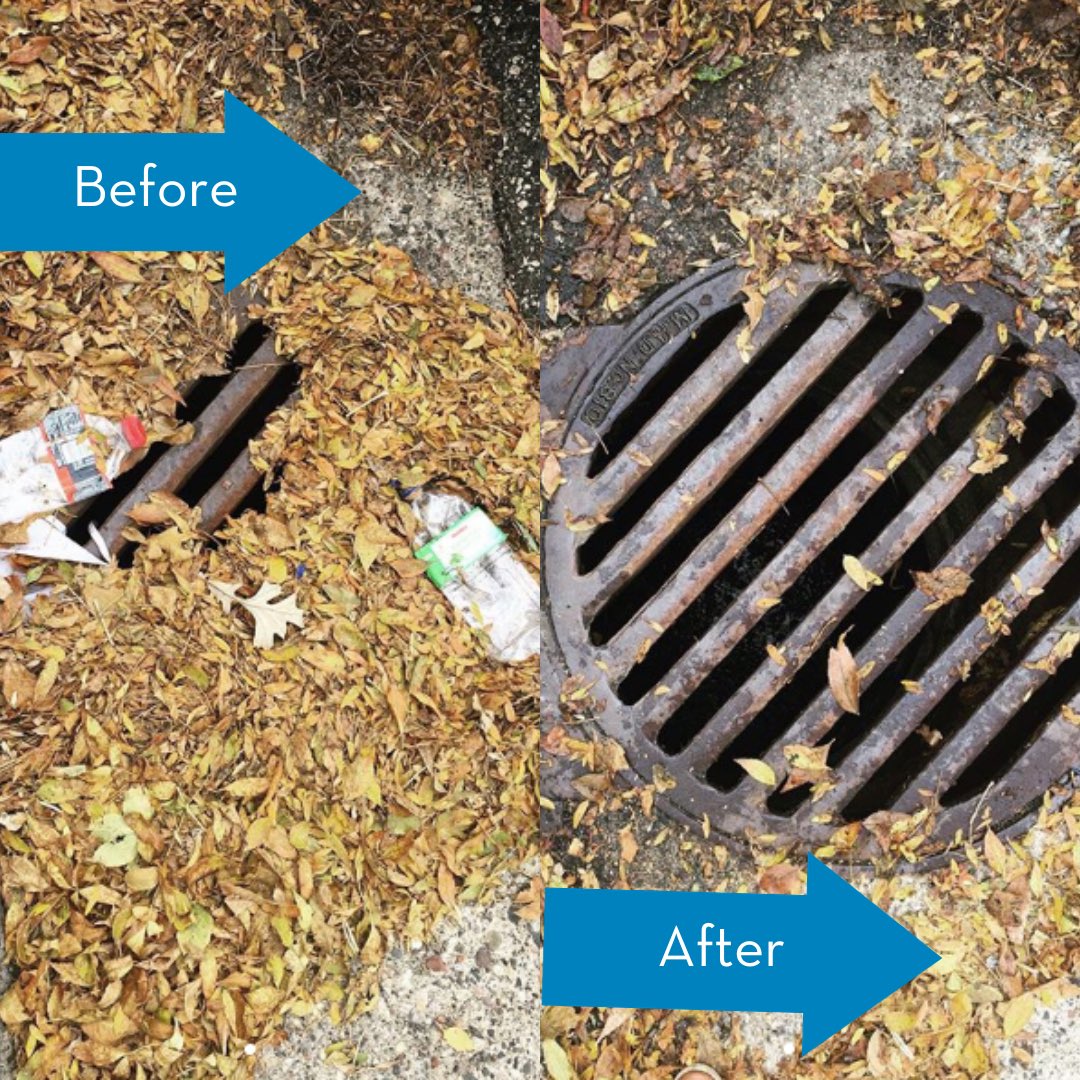 Late summer is a great time to adopt a drain! By keeping falling 🍂’s out of your drain you can help keep our waterways clean. While a small amount of leaves are ok, just 5 bags worth can deliver 1 lb of phosphorous to a water body and result in up to 1,000 lbs of algae blooms.