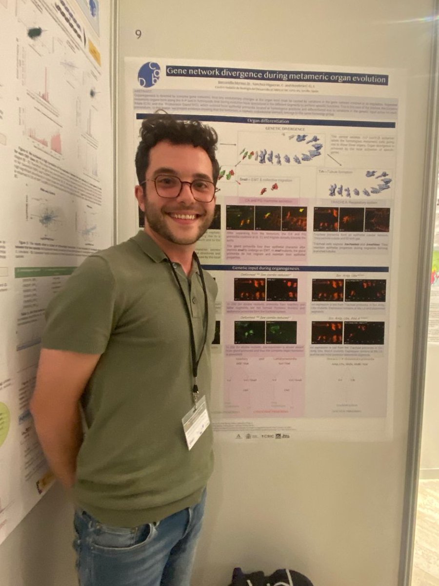 The #CABD is well represented at #EMBOevoAnimalGenomes in the poster session with <a href="/DanielBamer/">Daniel BM</a> from Hombria's lab! 🪰🧬🔬