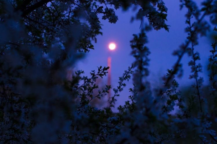 violettweets_'s tweet photo. lavender haze. https://t.co/M6bYZgjktz