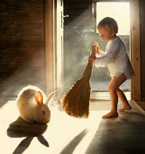 " لن تجد السعادة حتى تنظف حديقة قلبك من الأشجار الضارة، والنباتات السامة  .. من الحسد .. والبغضاء .. والحقد .. والغل .. والضغينة .. والكراهية