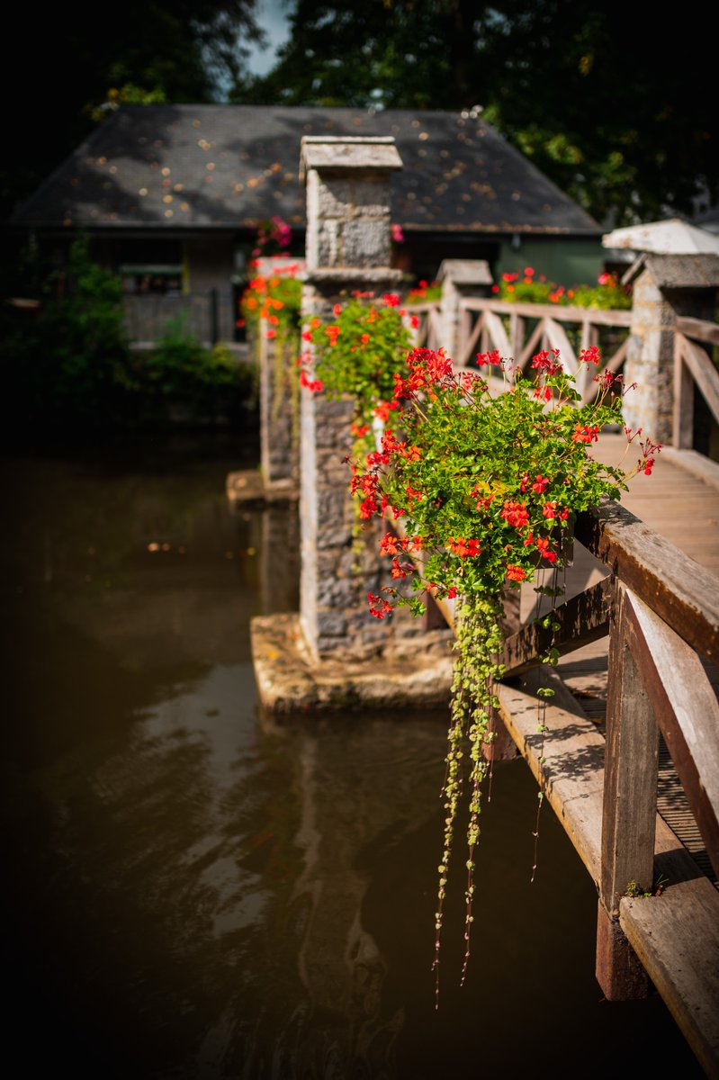 bridge over the lesse

#landscapephotography #flowerphotography #photography #belgium #wallonie #sigma #nikon #photography #photographer #photo #bestnatureshot #nikonnl #dutchconnextion #cameranu_nl #zoomnl #grottesdehan #rocheforttourisme #visitwallonie

instagram.com/p/CxYVtTCI803/