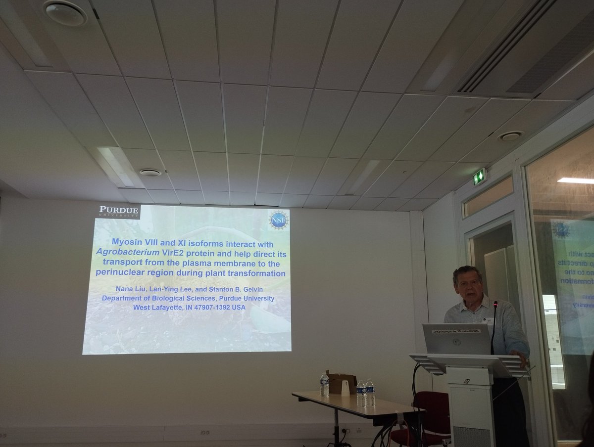 Staton B Gelvin from <a href="/PurdueBiolSci/">Purdue Biological Sciences</a> present his beautiful work on the major role of Myosine XI-K for VirE2 movement through the cytoplasm to the nucleus.