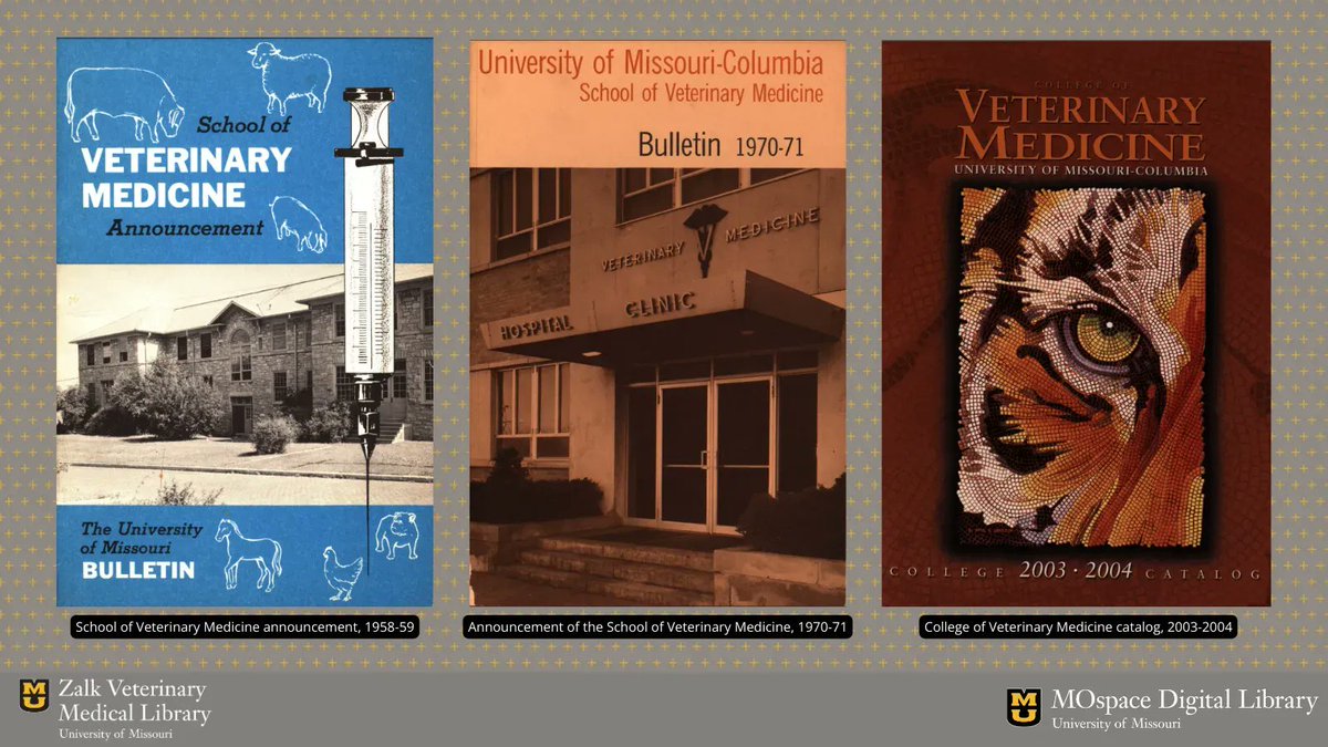 Mizzou Veterinary Medical Library (@zalklibrary) on Twitter photo Go to #MOspace to check out the 30 newly-digitized @MUCVM course catalogs, spanning from 1958 to 2006! ๐ View the full collection at buff.ly/3LpbkU5 ๐ป #MizzouLibraries Go to #MOspace to check out the 30 newly-digitized @MUCVM course catalogs, spanning from 1958 to 2006! ๐ View the full collection at buff.ly/3LpbkU5 ๐ป #MizzouLibraries