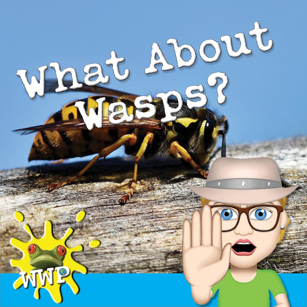 kbcarrauthor's tweet photo. New episode out now-all about wasps! Why you're seeing so many at this time of year and why it's a bad idea to swat at them:(
https://t.co/soMtldHKA3 https://t.co/U1K25Qtq0o
