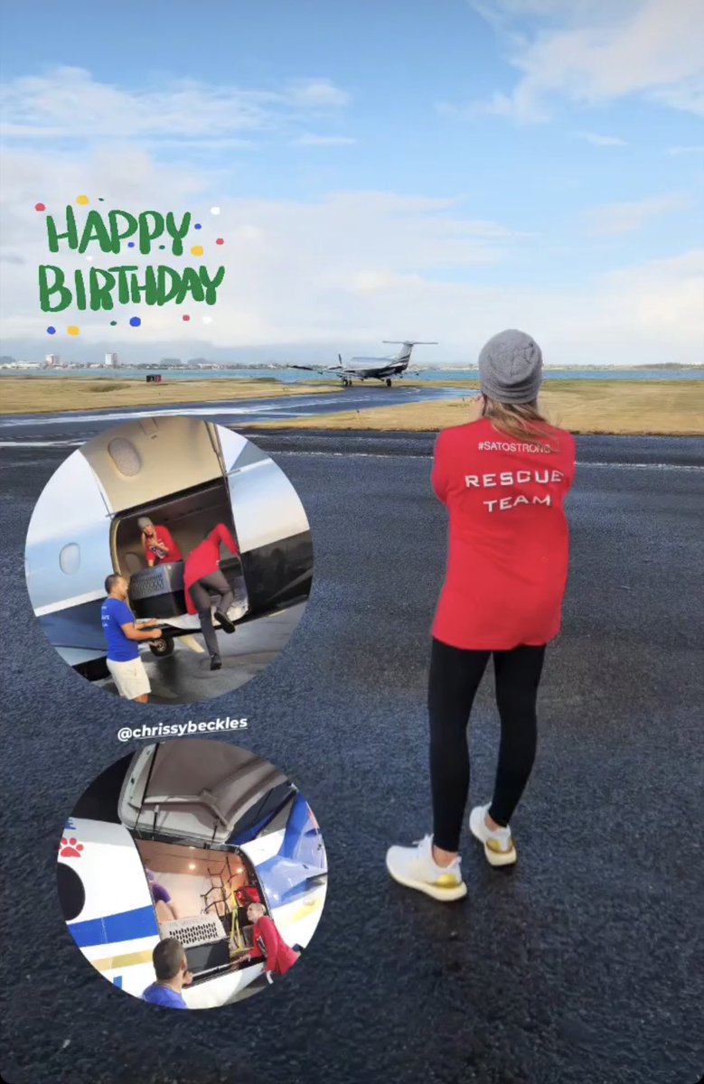 Today is our President &amp; Founder, Chrissy’s Birthday!
In true Chrissy style we are celebrating by rescuing - 10 satos! 
TSP has rescued &amp; flown over 8,000 dogs from the streets of 🇵🇷 to lives of love &amp; safety. Chrissy fights for them every single day - literally not figuratively.