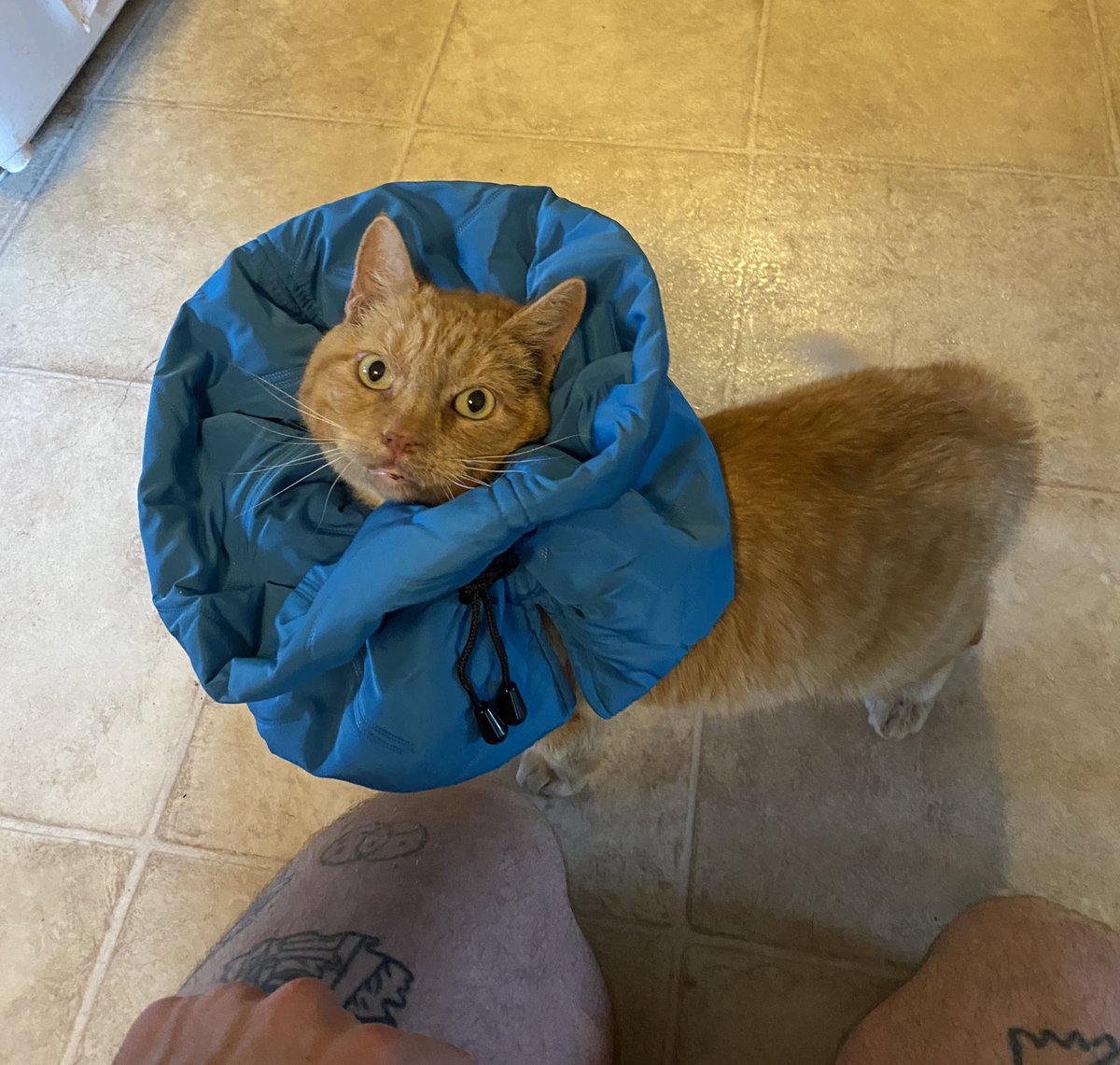 Geezer experiments with a new cone design