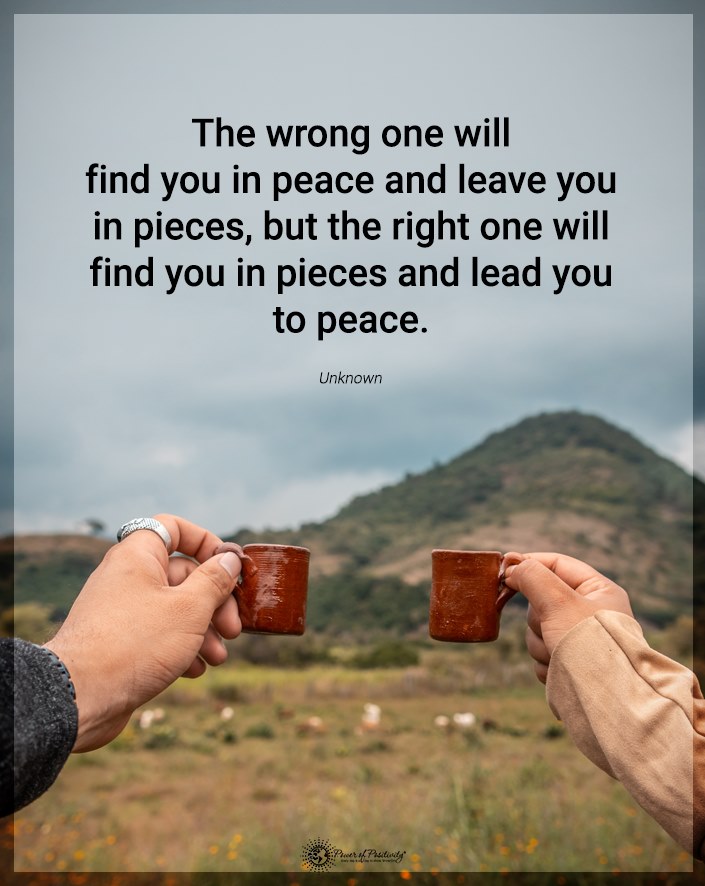 The Mindfulness Meditation Institute tweet media