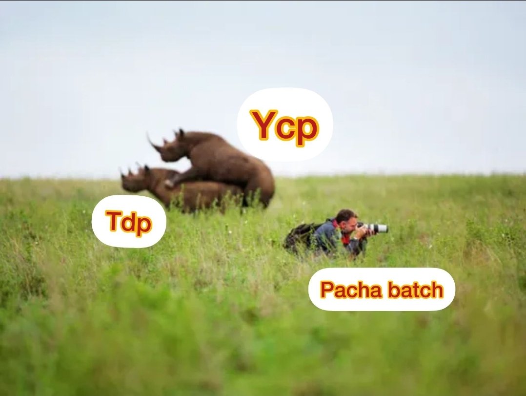 F6_-b8xaMAAjRZW?format=jpg&name=medium