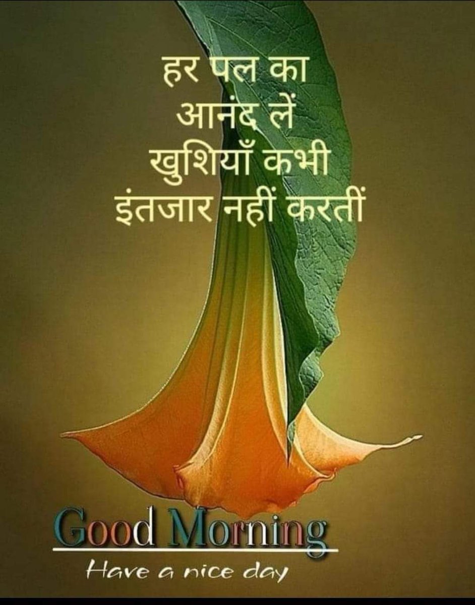 सभी सम्मानित बंधुवर, सुधिजनों एवम् गुणीजनों को सादर:
शुभ मंगलमय सुप्रभात
सुबह का सलाम
Good Morning
सत श्री अकाल
🙏🌹🌷🌄❤️🛐🛐❤️🌄🌷🌹🙏