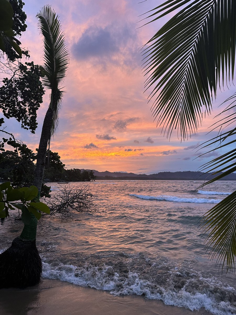 DSampson101's tweet photo. Another one bites the dust and another one gone, Costa Rica ✅
                           Panama✅ https://t.co/gkRRQcYMNB