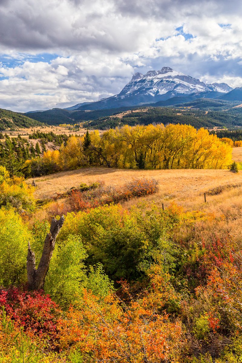 Fall along the Front, Montana … … #montana #montanagram #exploremontana #rockymountains #montanamoment #autumncolors #bigskycountry #fallcolors #publiclands